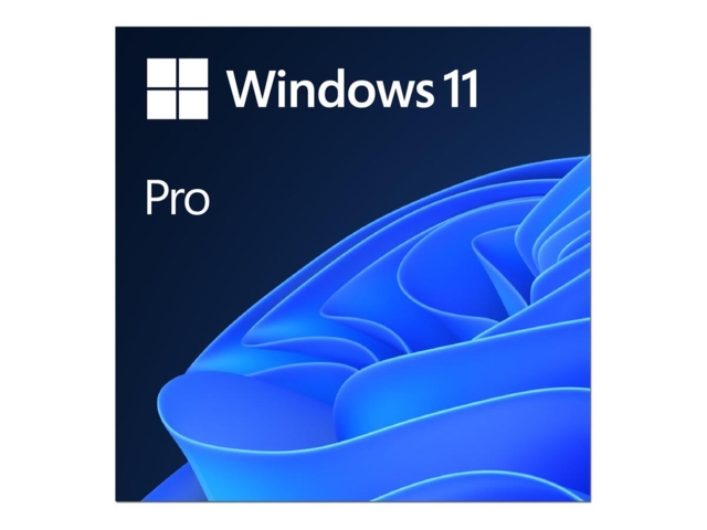 MICROSOFT WINDOWS 11 PRO ESD - 64BIT DK