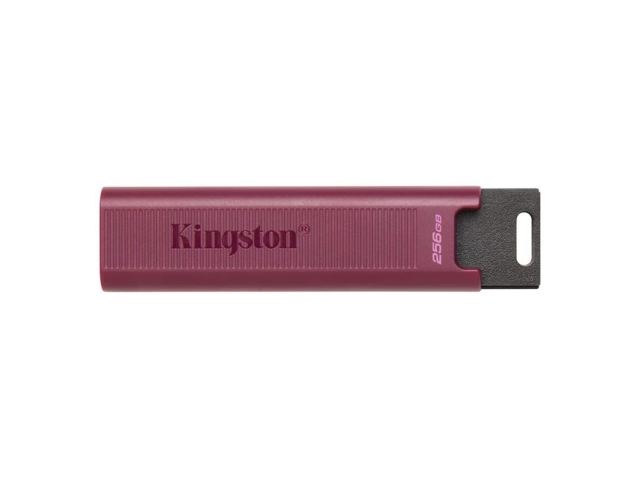 Kingston DataTraveler Max 256GB