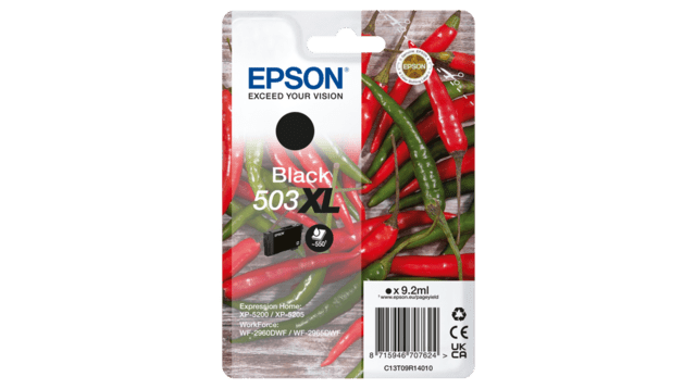 Epson T503XL Black