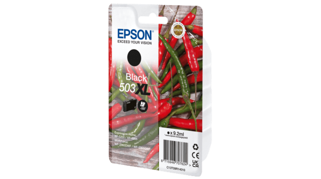 Epson T503XL Black